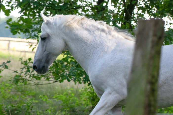 DSC_0117-Edit